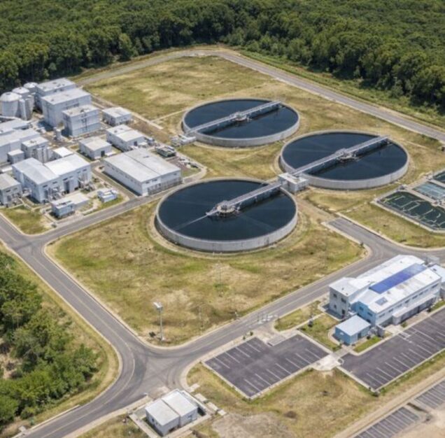 Untitled design - 2026-01-26T005624.353